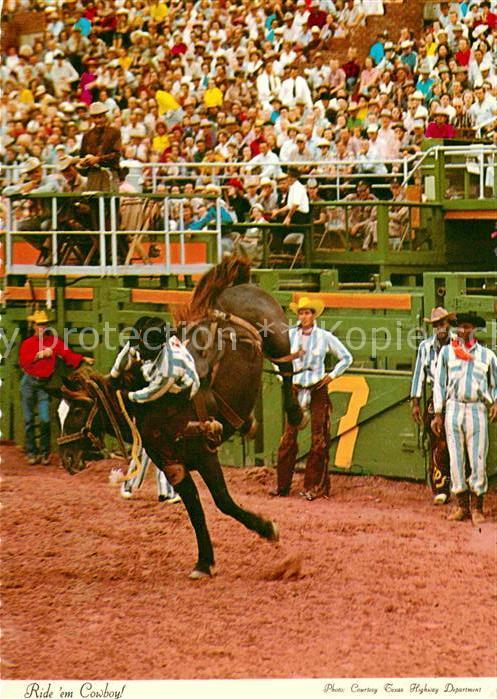 Pferdesport Pferderennen Reitsport Rodeo Cowboy