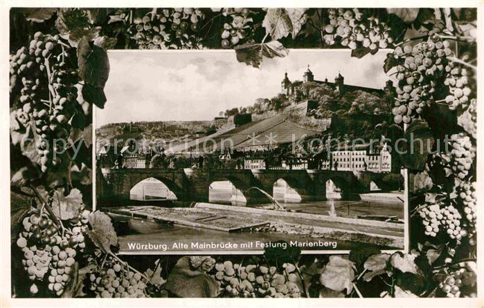WueRZBURG Bayern Alte Mainbruecke mit Festung Marienberg Weinreben Weintrauben B
