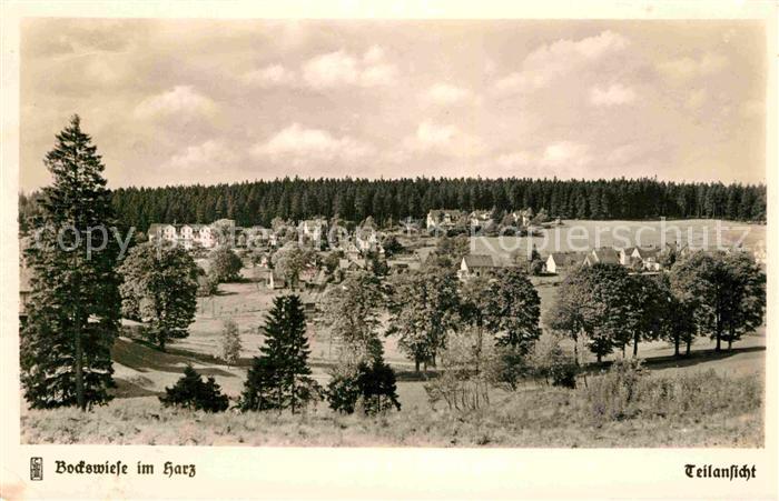 Bockswiese-Hahnenklee Harz Panorama
