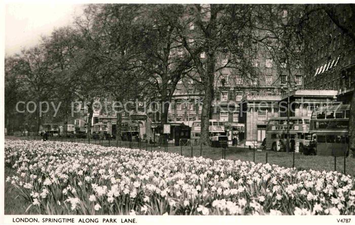 London Springtime along Park Lane