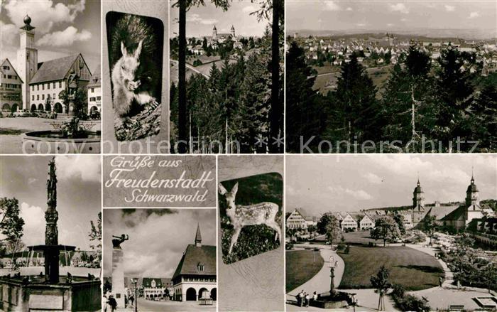 FREUDENSTADT BW Marktplatz Kirche Brunnen Eichhoernchen Rehkitz Hoehenluftkurort