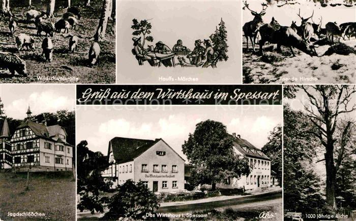 Rohrbrunn Wildschweinrotte Hauffs Maerchen aesende Hirsche Jagdschloesschen