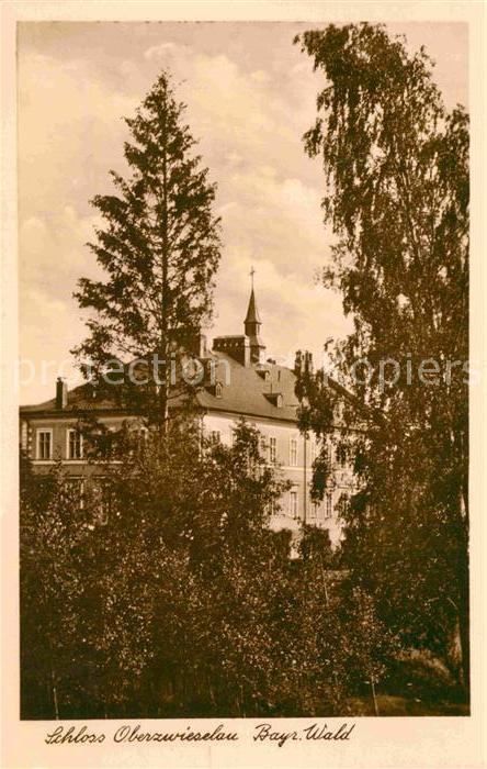 Oberzwieselau Schloss