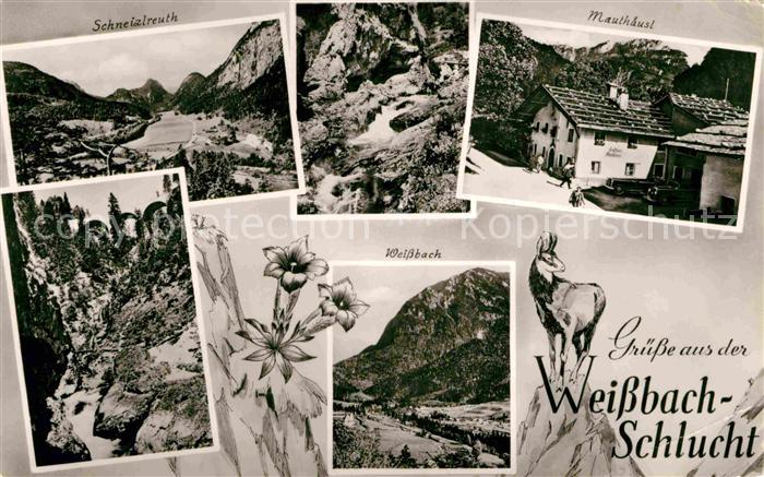 Weissbach Alpenstrasse Schneizlreuth Mauthaeus