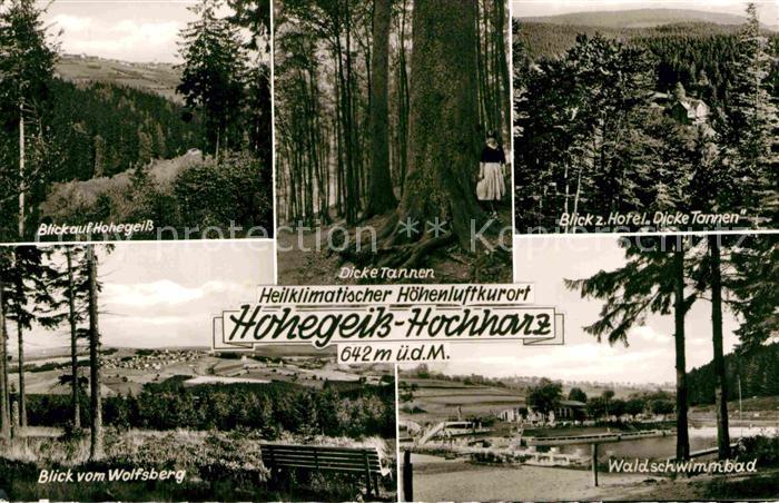 Hohegeiss Harz Wolfsberg Waldschwimmbad Hotel Dicke Tannen