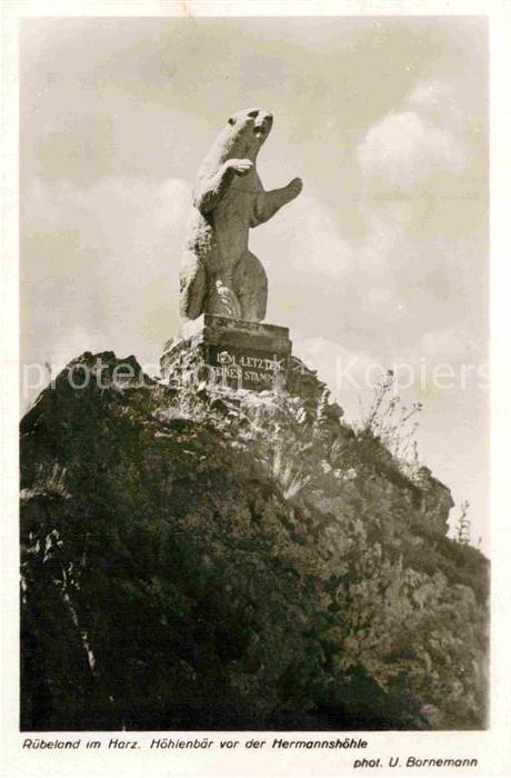 Ruebeland Harz Hoehlenbaer vor der Hermannshoehle