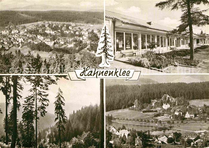 Hahnenklee-Bockswiese Harz Panorama See
