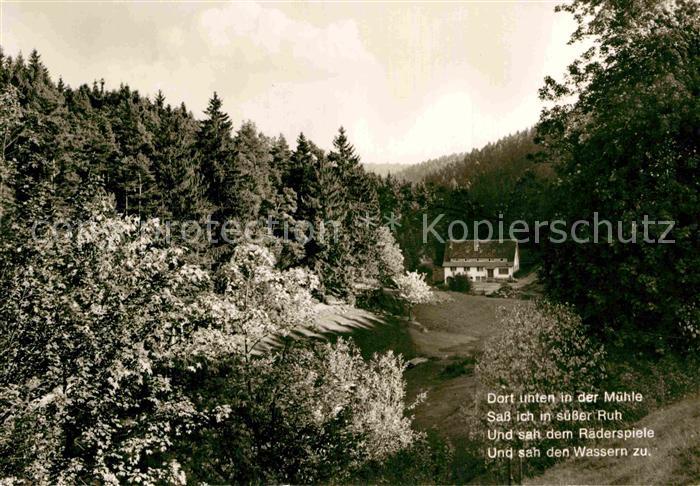 Besenfeld Schwarzwaldmuehle