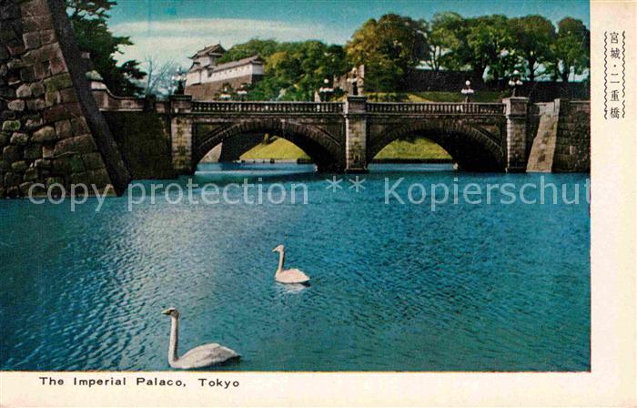 Tokyo The Imperial Palaco Schwäne
