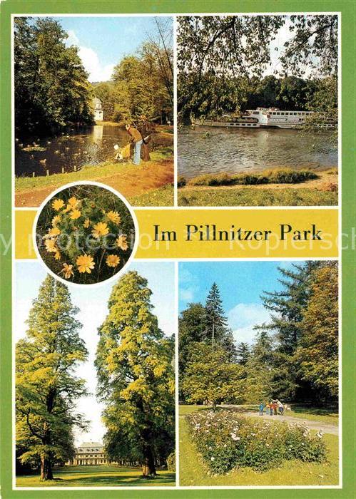 Pillnitz Elbe Bergpalais Schlosspark