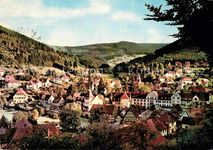 Bad Herrenalb Blick vom Marienweg