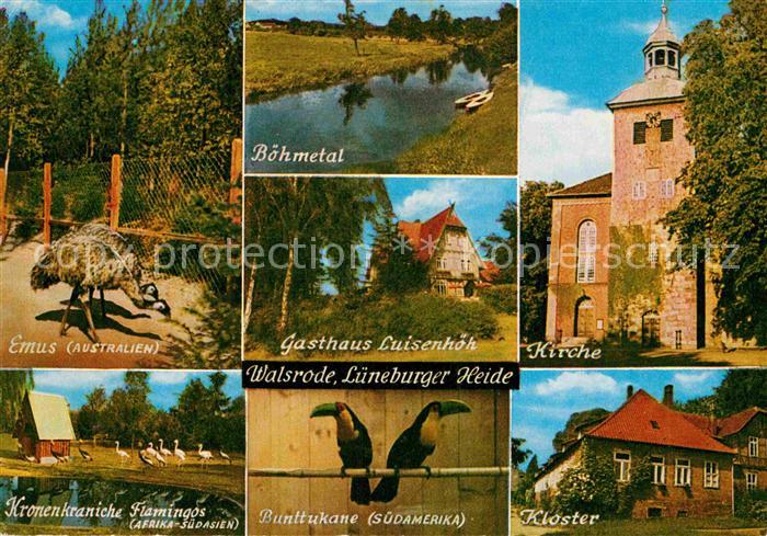 Walsrode Lueneburger Heide Boehmetal Kirche Emus Kloster Bunttukaen Kronenkranic