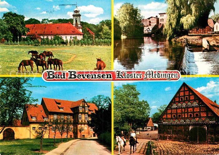 Bad Bevensen Kloster Medingen Pferde