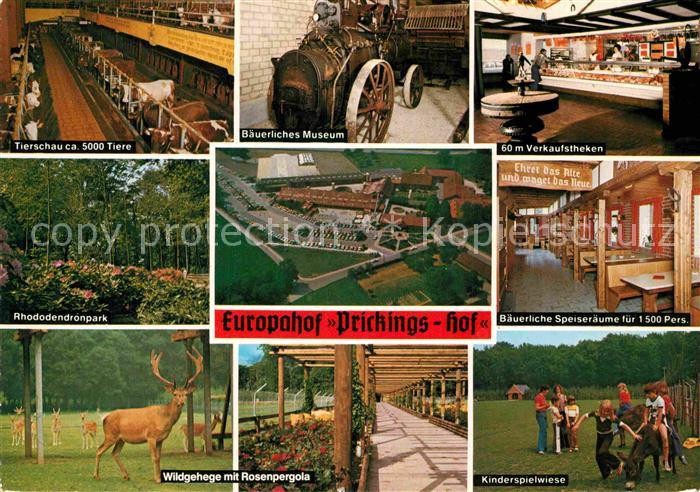 Sythen Europahof Prickingshof Bauernhof Tierschau Museum Wildfreigehege