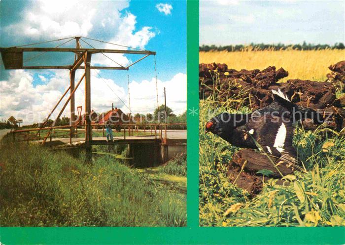 Wiesmoor Fehnkanal Zugbruecke Birkhahn im Moor