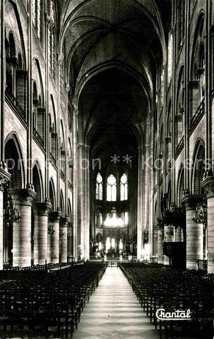 Paris Notre Dame intern