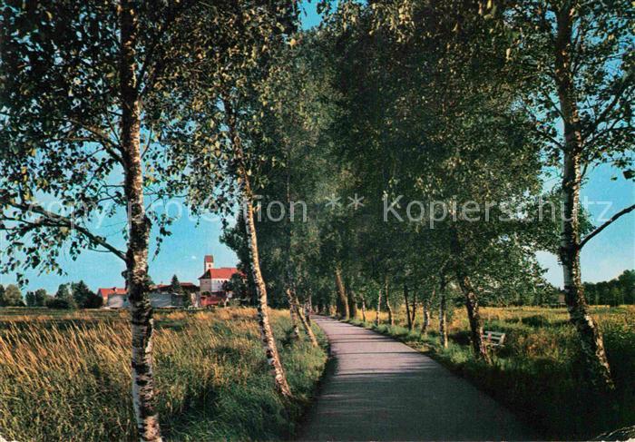 Bad Buchau Federsee Moorheilbad in Oberschwaben