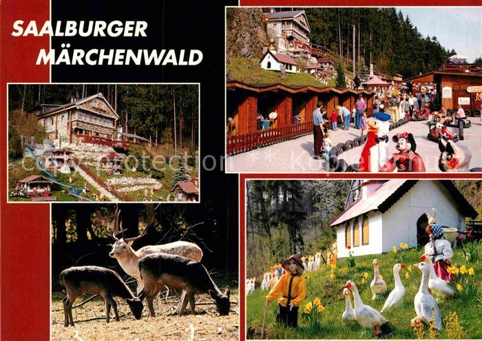 Saalburg Saale Maerchenwald Freizeitpark mit Tiergehege