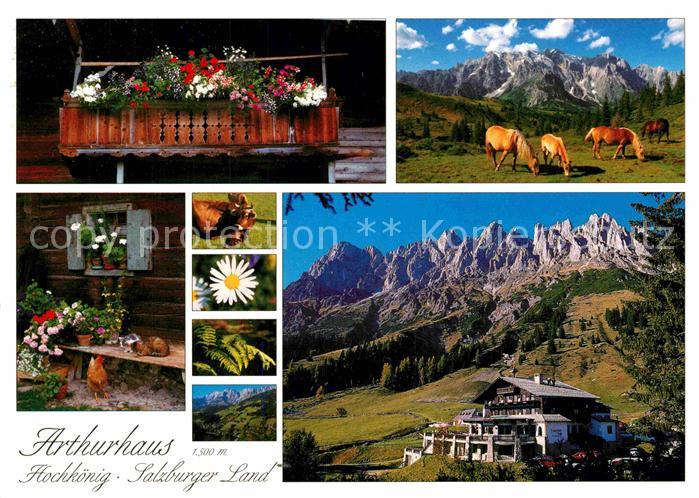 Muehlbach Hochkoenig Arthurhaus