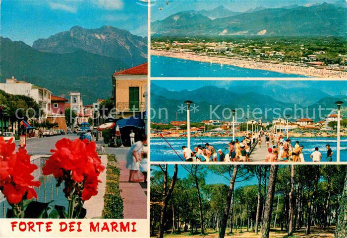 Forte dei Marmi Teilansicht Strand Pinienwald Seebruecke