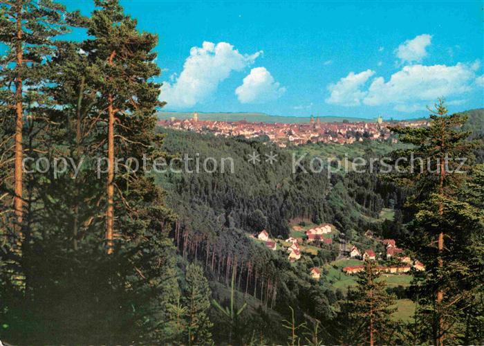 FREUDENSTADT BW Panorama Blick vom Friedrichstal