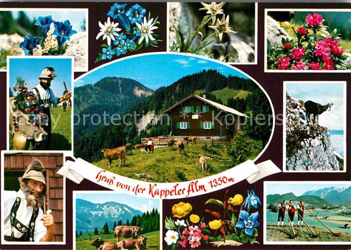 Pfronten Ostallgaeu Bayern Kappeler Alm