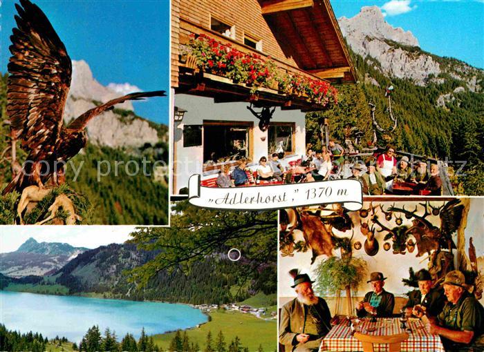 Haldensee Adlerhorst