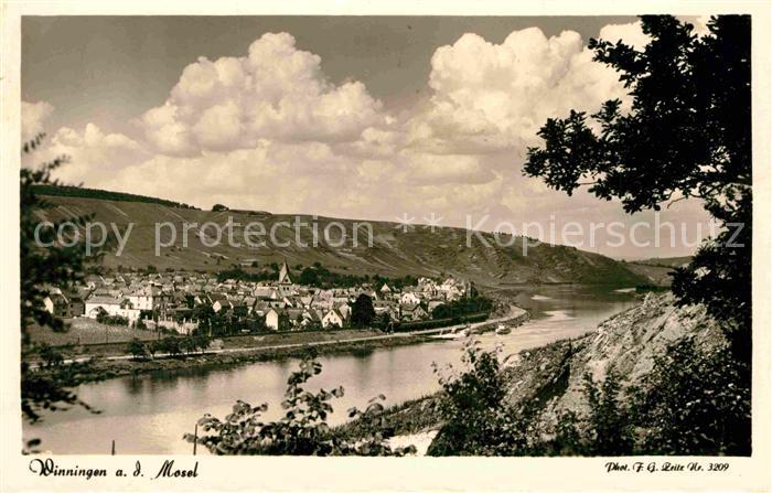 Winningen Mosel Panorama