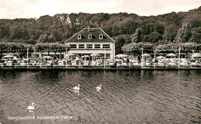 Essen Ruhr Seegaststaette Baldeneyer Faehre Baldeneysee Schwaene
