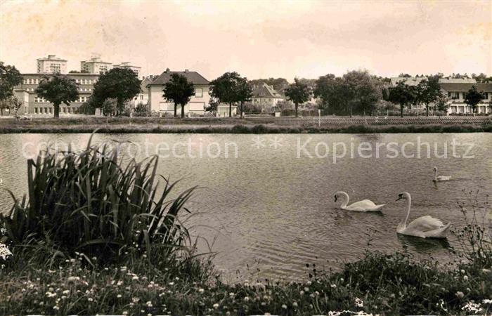 Giessen Lahn Schwanenteich