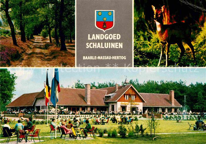 Baarle Nassau Landgoed Schalunen Landgut Waldpartie Reh