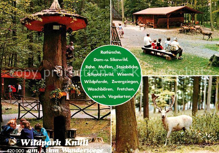 Allmuthshausen Wildpark Knuell