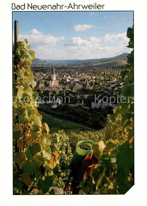 Ahrweiler Ahr Panorama Weinort Weinreben Traubenlese Vollrath Karte Nr 2189