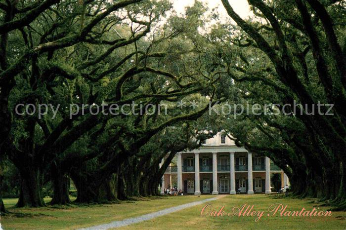 Vacherie Oak Alley Plantation