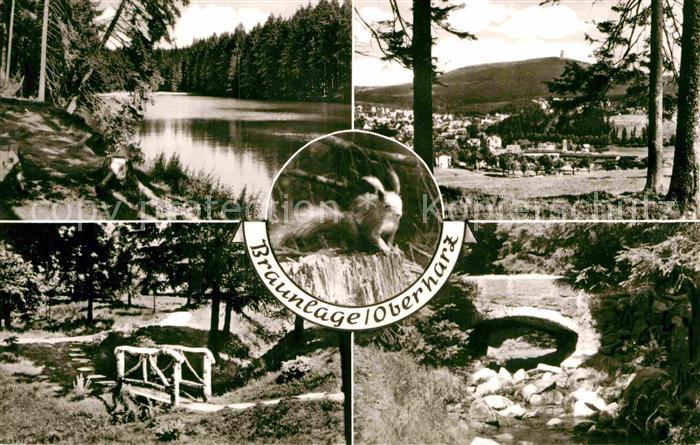 Braunlage Harz Park Bruecke Eichhoernchen