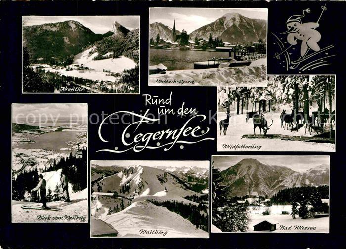 Tegernsee Wallberg Bad Wiessee Wildfuetterung Rottach-Egern