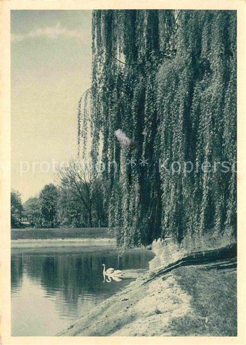 MANNHEIM BW Luisenpark