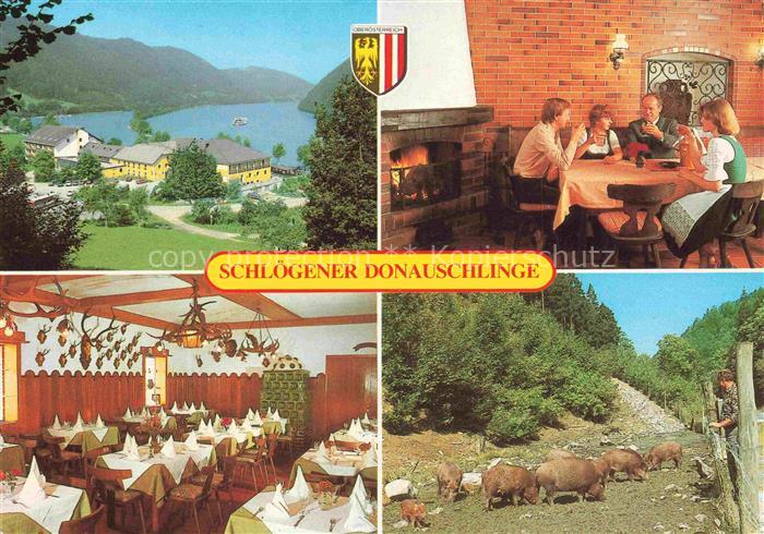 Schloegener Schlinge Haibach Donau Oberoesterreich AT Hotel Restaurant Donauschl