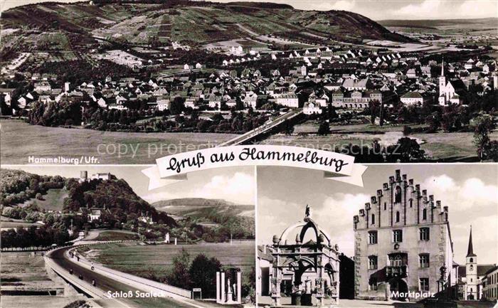 Hammelburg Bad Kissingen Bayern Panorama Schloss Saaleck Marktplatz