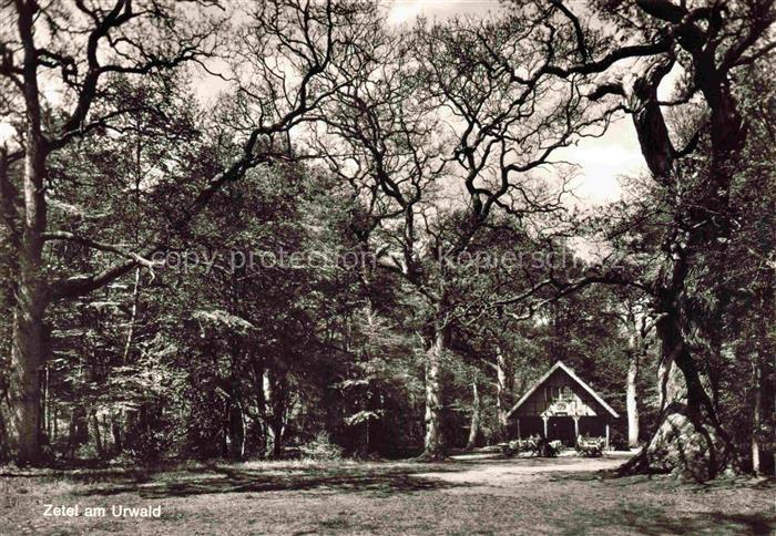 Zetel Friesland Niedersachsen Am Urwald