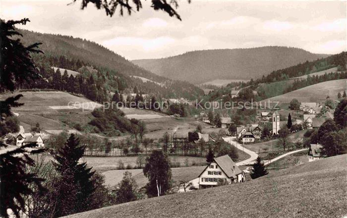 Reinerzau Alpirsbach Freudenstadt BW Panorama Kurort Schwarzwald