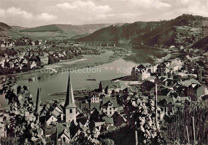 Alf Bullay Mosel Panorama Blick ueber die Mosel