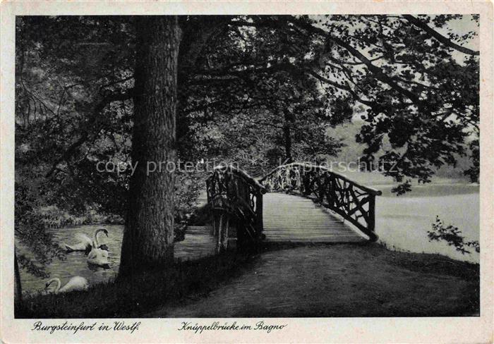 Burgsteinfurt Steinfurt NRW Knueppelbruecke im Bagno
