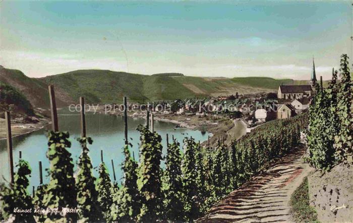 Kroev Croev Croev Mosel Weg durch die Weinberge