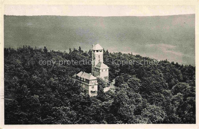 Hattenheim Rheingau Eltville Hessen Aussichtsturm Hallgartener Zange