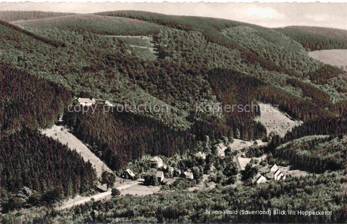 Wald Brilon Panorama Blick ins Hoppecketal