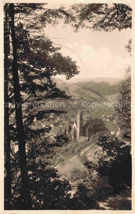 Alpirsbach Freudenstadt BW Ansicht vom Waldrand aus