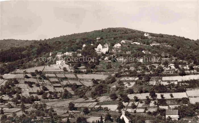 Schriesheim Panorama Blick zur Berggaststaette Schauinsland