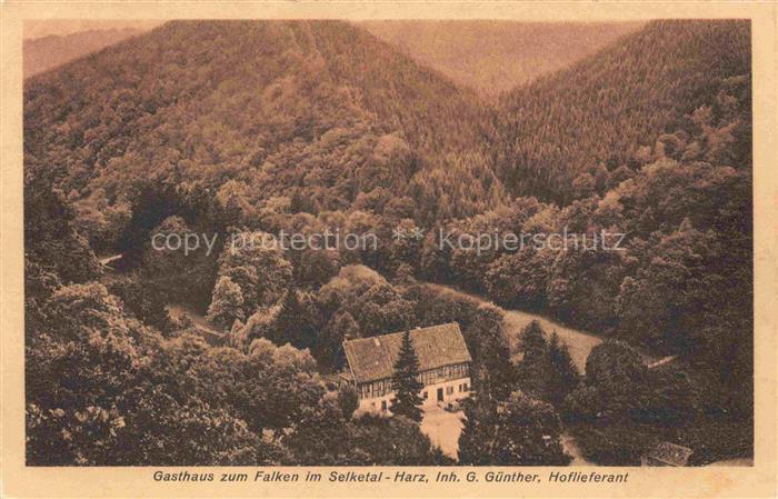 Selketal Harz Sachsen-Anhalt Gasthaus zum Falken