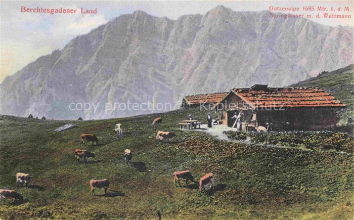 Gotzenalpe Gotzenalm 1740m Berchtesgaden Bayern Panorama Alpe Almvieh Blick gege